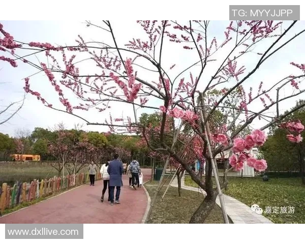 足球球星与大自然亲密接触 球场之外的绿意生活