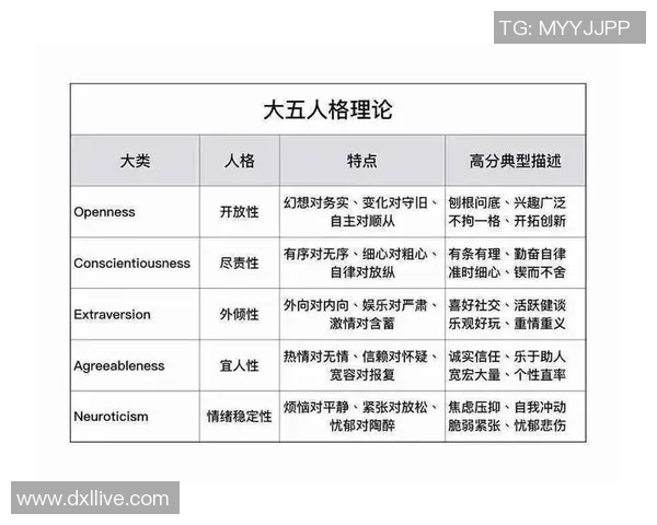 足球5号球员位置解析及其在场上的重要作用详解