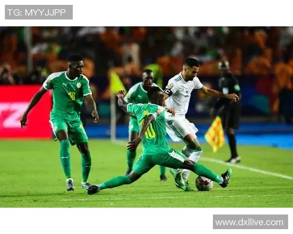 绿茵闪耀非洲雄狮阿尔及利亚足球球星的荣耀与传奇 绿茵闪耀非洲雄狮阿尔及利亚足球球星的荣耀与传奇