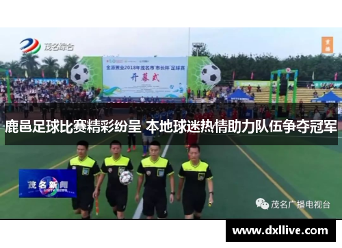 鹿邑足球比赛精彩纷呈 本地球迷热情助力队伍争夺冠军